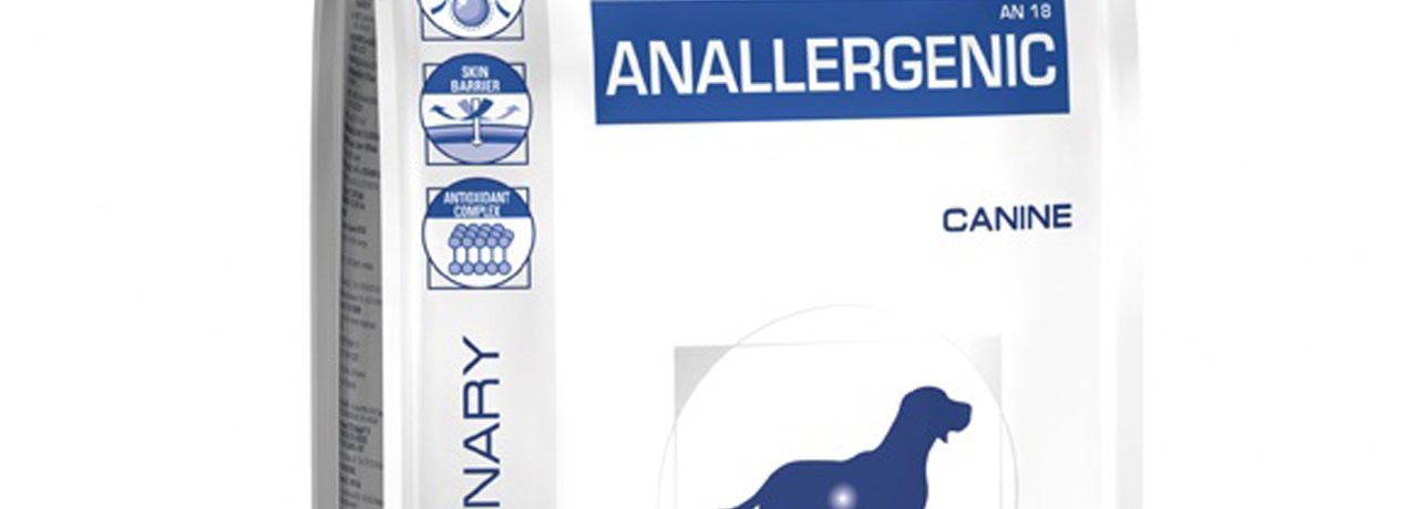 anallergenic canine